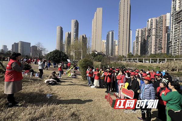 雨花家园社区：党建引领聚合力，携手植树添新绿